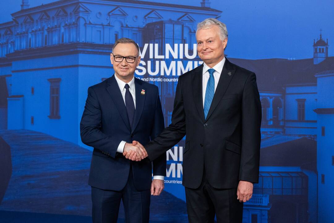 Bukarešto devintuko ir Šiaurės šalių vadovų susitikimas