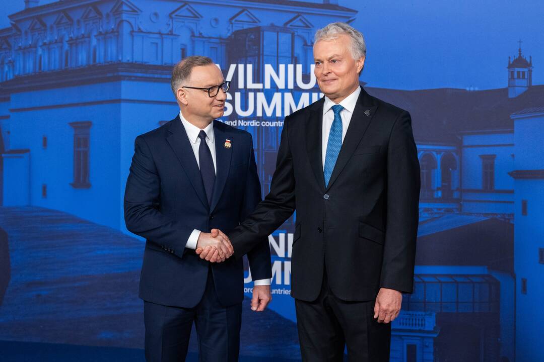 Bukarešto devintuko ir Šiaurės šalių vadovų susitikimas