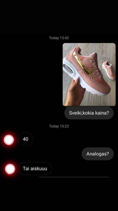 „Gucci“, „Prada“ „Channel“ „Louis Vuitton“ rankinių klastotės