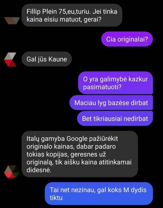 „Gucci“, „Prada“ „Channel“ „Louis Vuitton“ rankinių klastotės