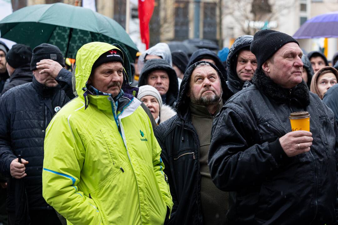 Vilniuje prasidėjo žemdirbių mitingas