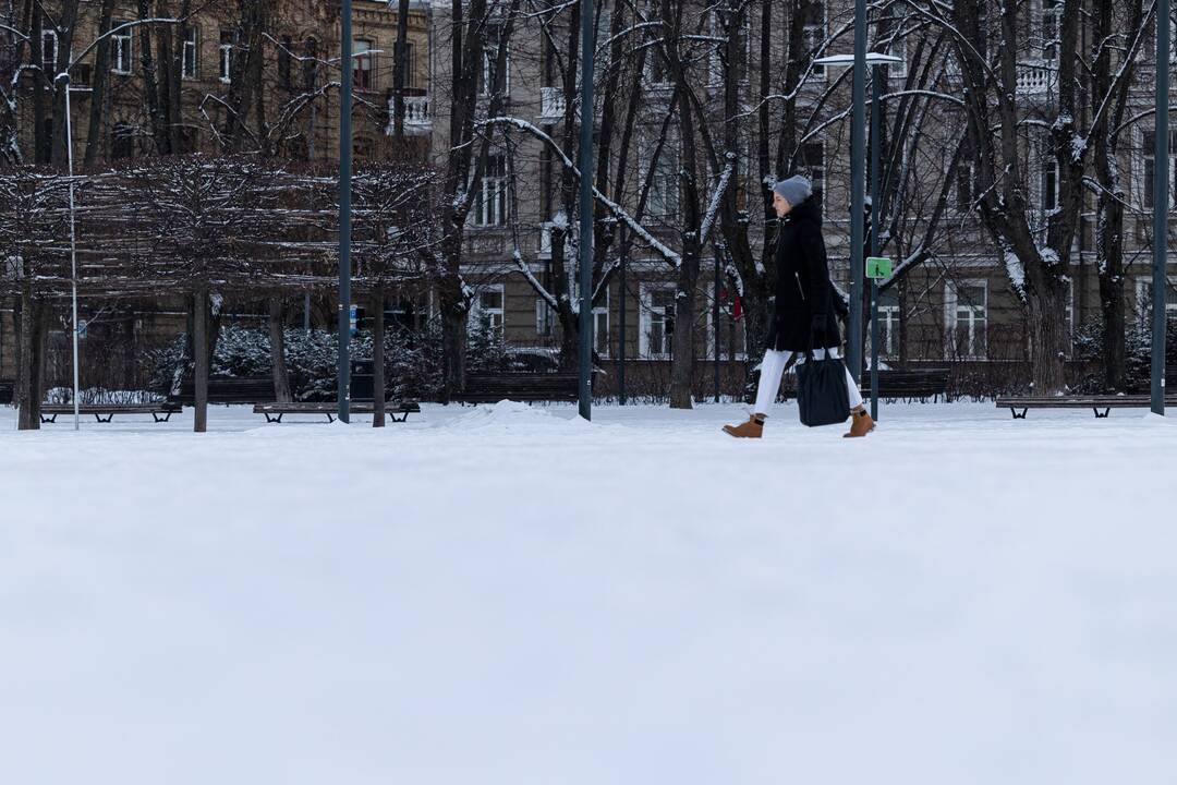 Apsnigtas Vilnius