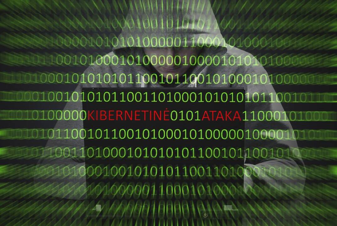 NKSC: buvo įsilaužta į dešimt Lietuvos savivaldybių ir institucijų interneto svetainių