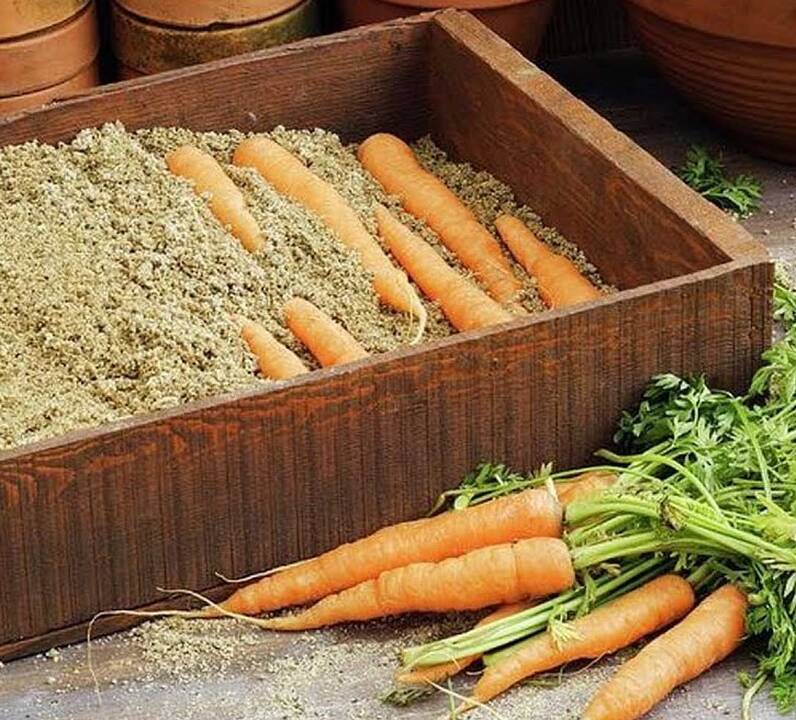 Pasirengimas: užaugintą derlių svarbu ne tik laiku nuimti, bet ir tinkamai paruošti saugoti per žiemą. 