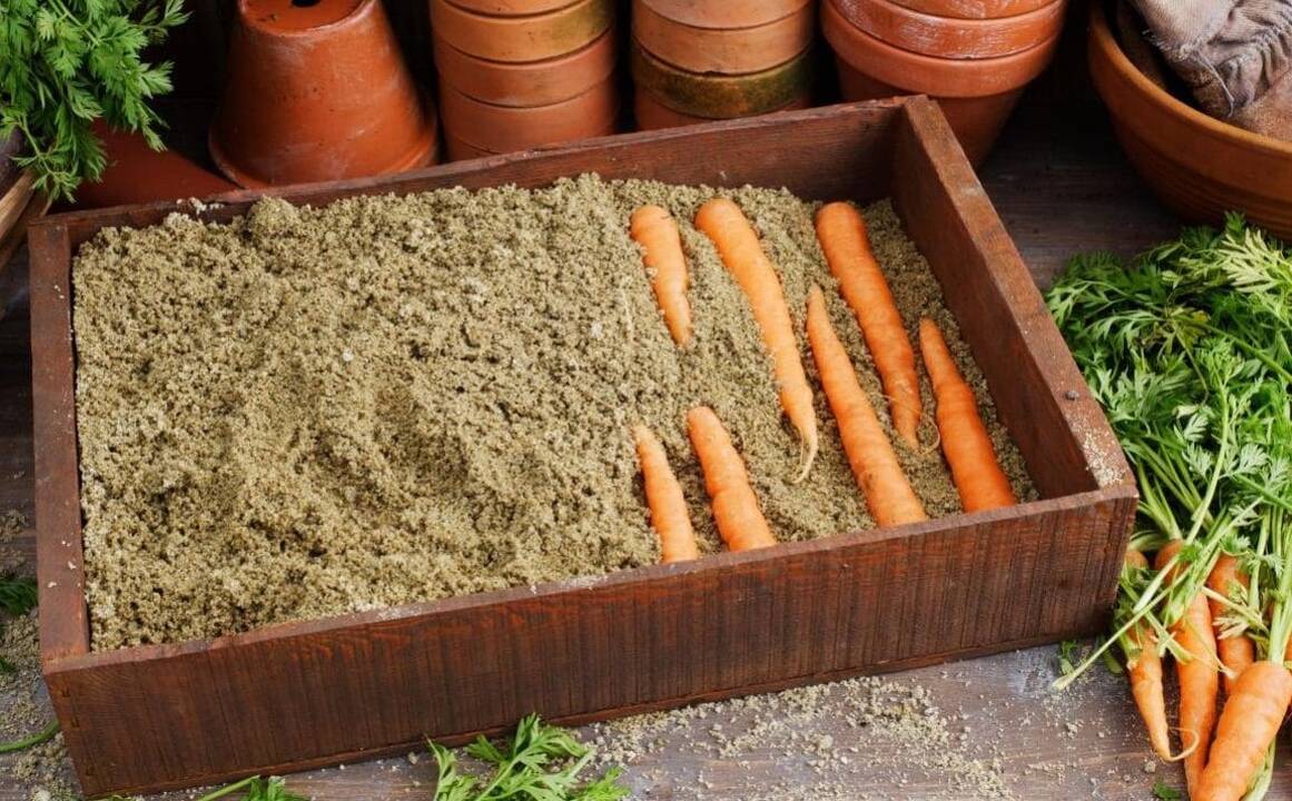 Pasirengimas: užaugintą derlių svarbu ne tik laiku nuimti, bet ir tinkamai paruošti saugoti per žiemą. 