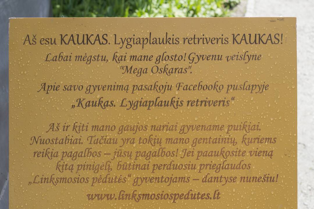 Tikslas: Kauko misija mugėse – labai atsakinga, jis ragina žmones aukoti Ukrainos gyvūnams.