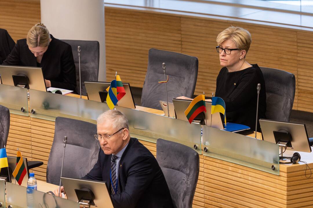 Seime premjerė pristatė praėjusių metų Vyriausybės veiklos ataskaitą