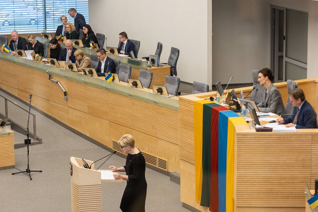 V. Čmilytė-Nielsen praėjusius Vyriausybės metus teigia vertinanti labai aukštu balu