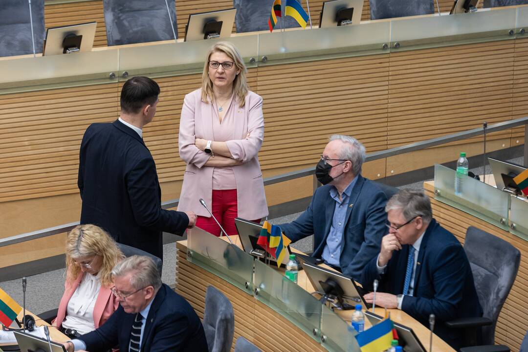 Seime premjerė pristatė praėjusių metų Vyriausybės veiklos ataskaitą