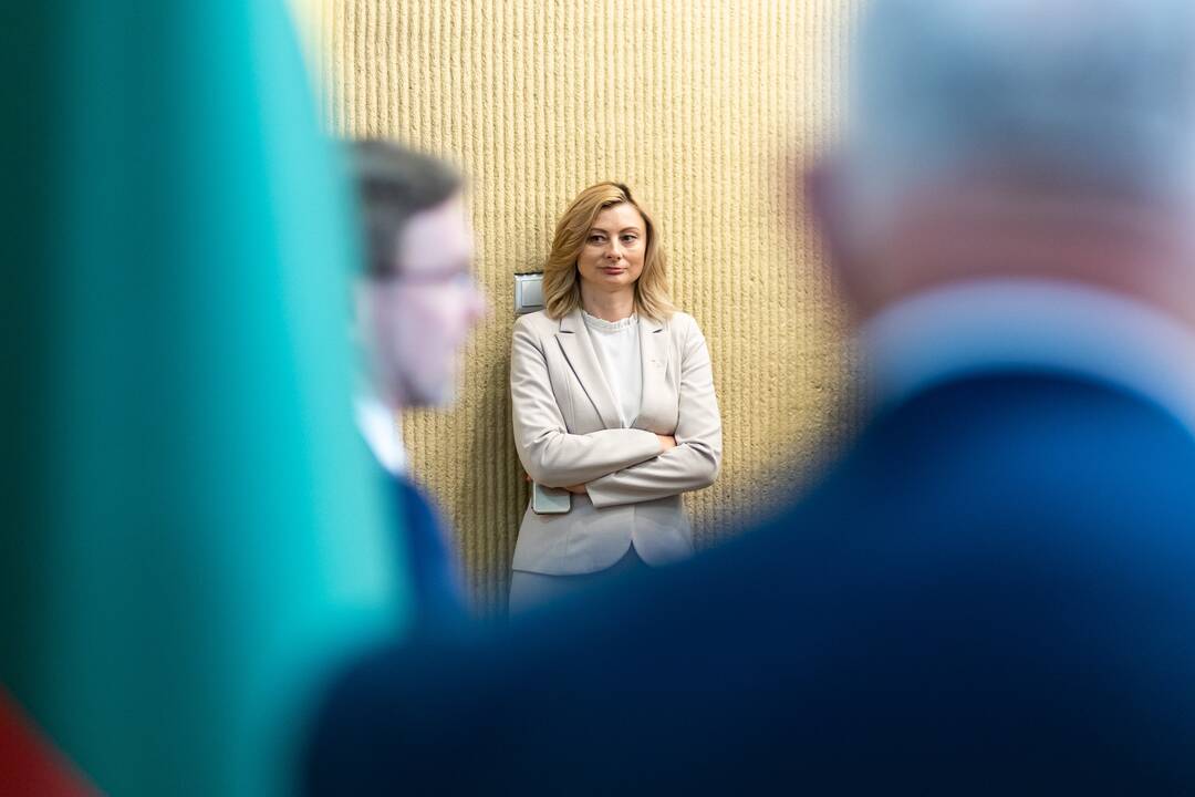 Seimo pirmininkės kabinete – Seimo dialogo grupės pasitarimas