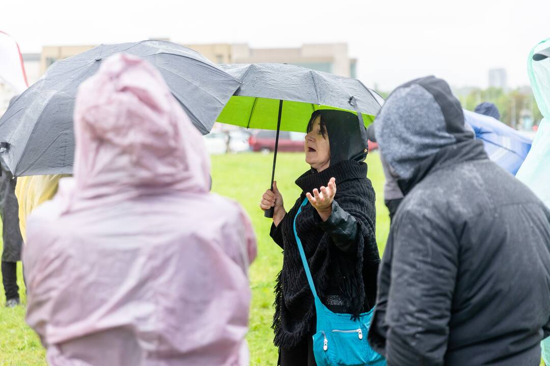 Šeimų sąjūdžio protestas prie Seimo