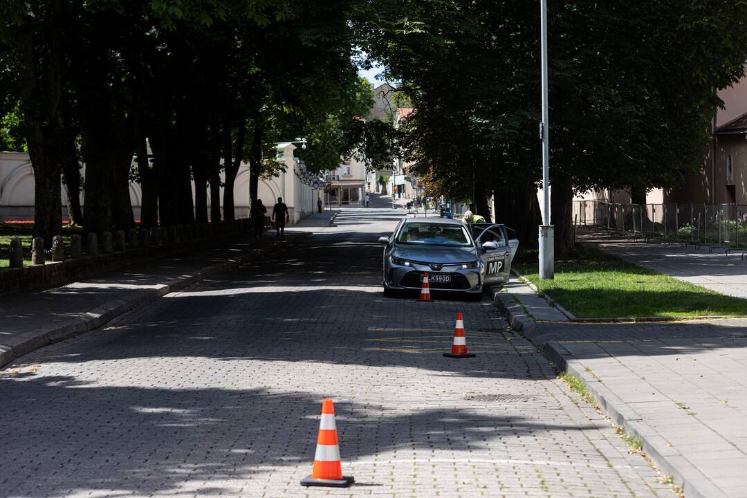 Vilnius – prieš NATO viršūnių susitikimą