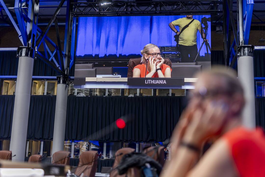 Pravertos NATO šalių VIP skirtos erdvės