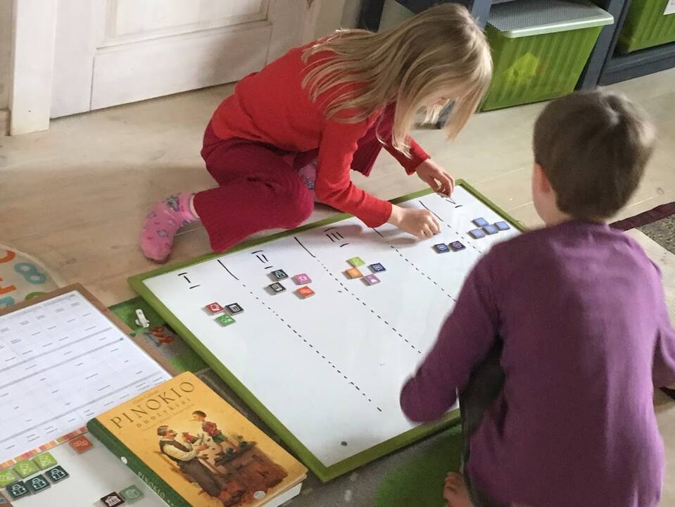Viltis: A.Kundrotienė tikisi, kad netoli ta diena, kai kuriant ar keičiant švietimo įstatymus bus galvojama, kaip geriau, o ne daroma taip, kaip iki šiol. 