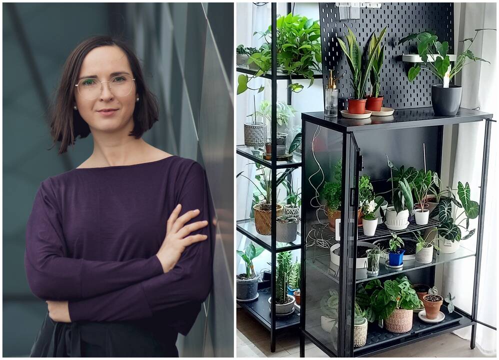 Aistra: kambariniais augalais besižavinti V. Žukauskė tikina, kad jie su kaupu grąžina energiją, reikalingą jų priežiūrai. 