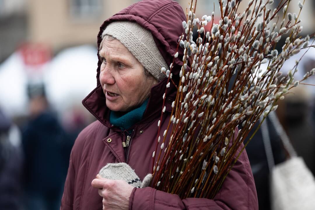 2024-ųjų Kaziuko mugė Vilniuje (antroji diena)