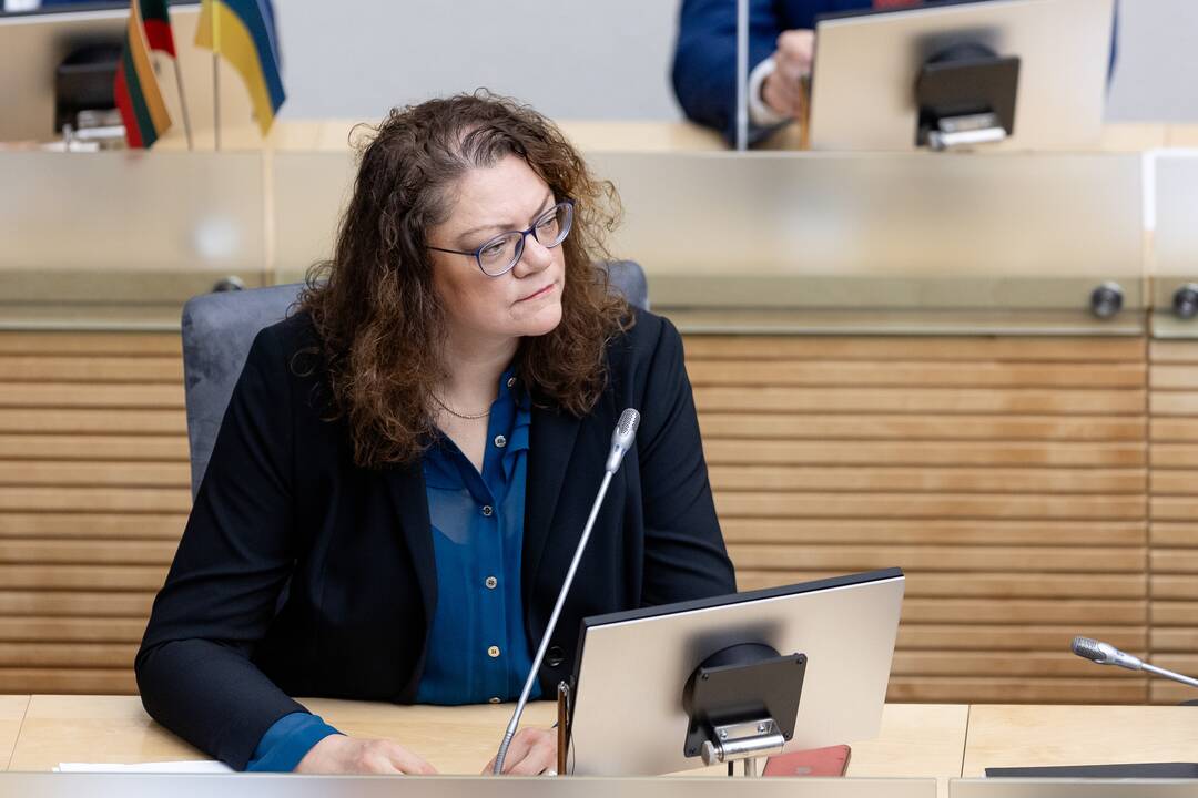 Vyriausybės programos tvirtinimas Seime