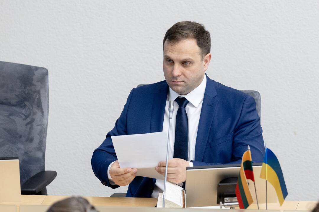 Vyriausybės programos tvirtinimas Seime