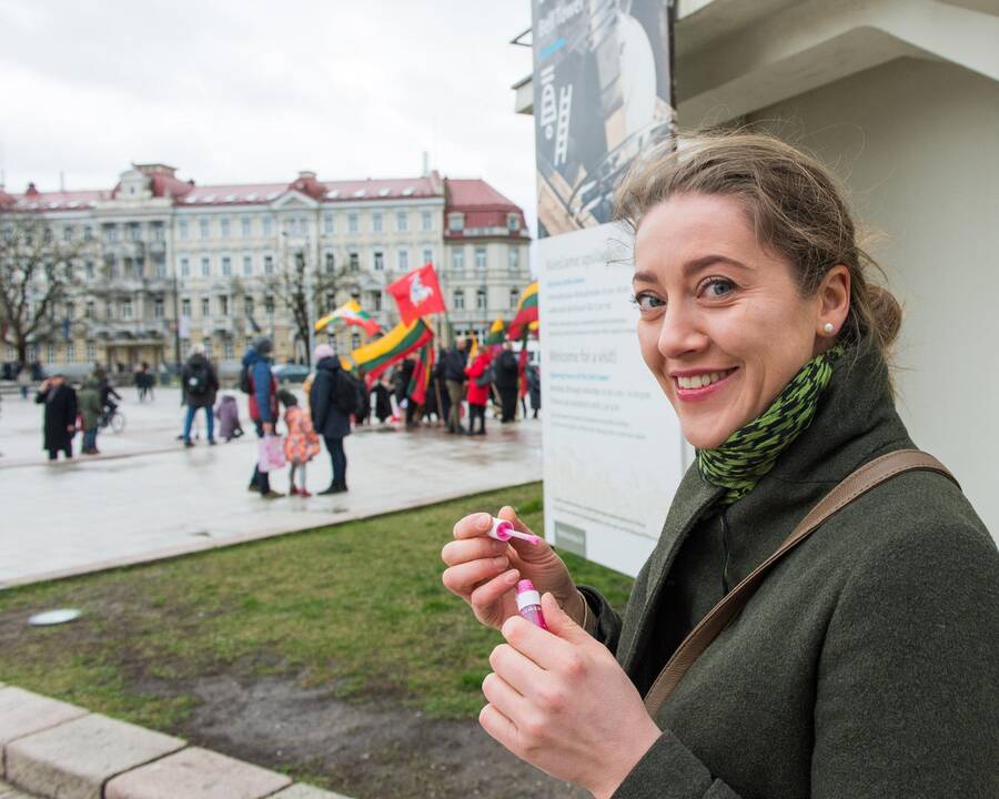 Keli šimtai žmonių žygiavo tautininkų eitynėse Vilniuje