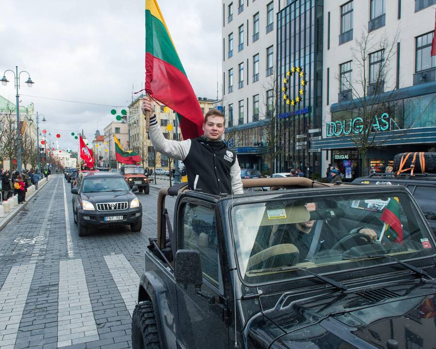 Keli šimtai žmonių žygiavo tautininkų eitynėse Vilniuje