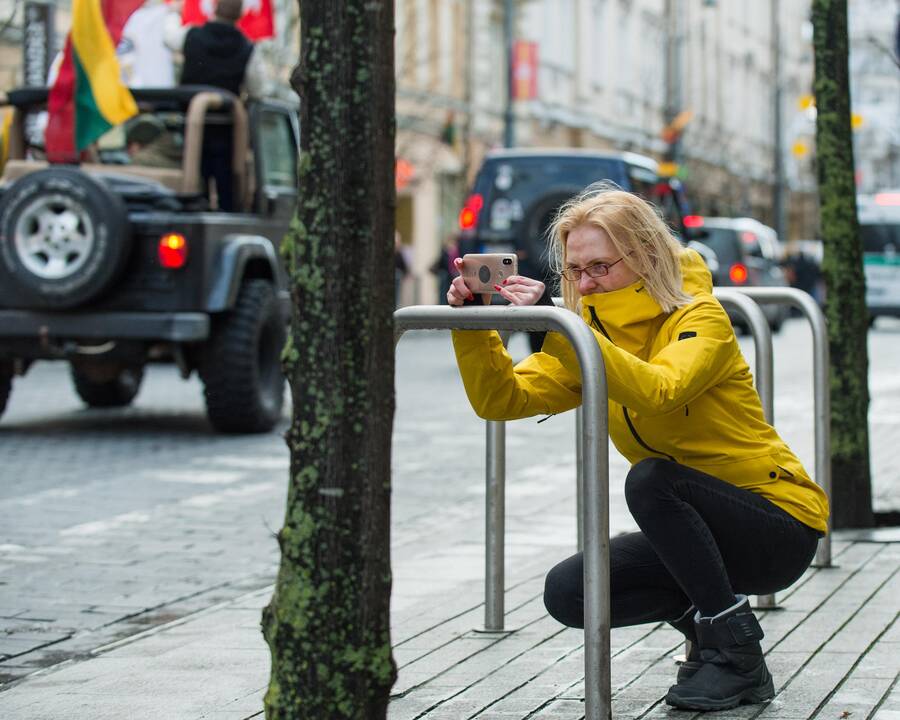 Keli šimtai žmonių žygiavo tautininkų eitynėse Vilniuje
