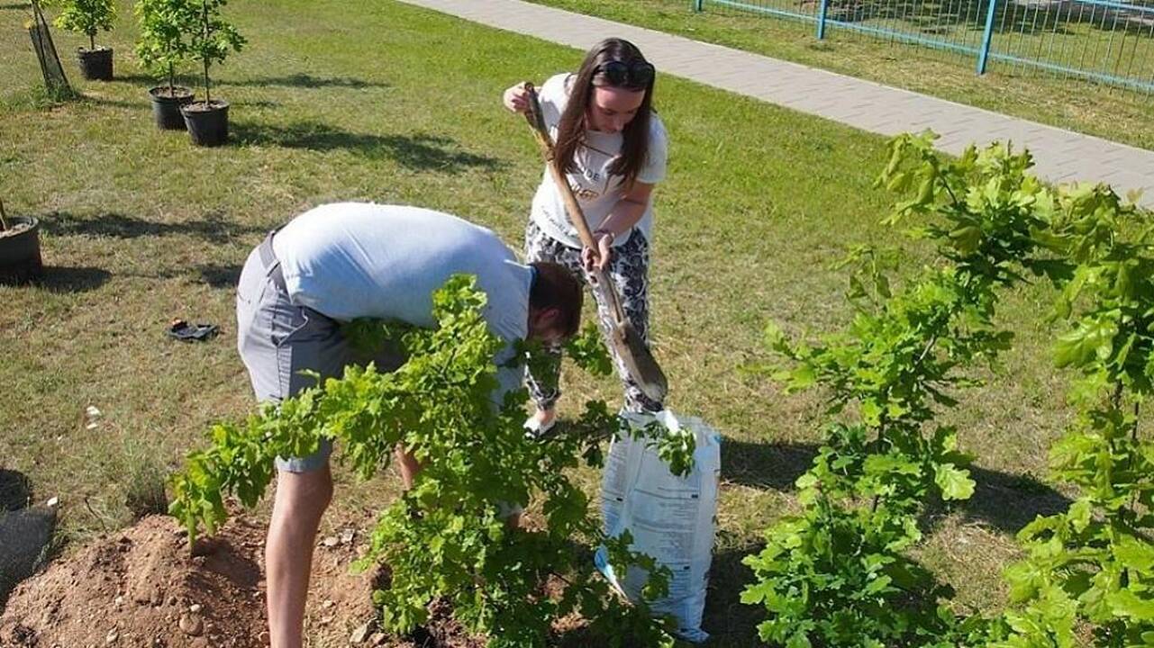 Lietuviai kviečiami sodinti milijoną ąžuolų