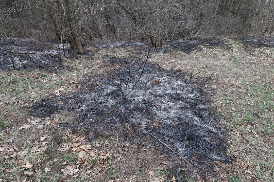 Ant Veršvų piliakalnio kilo gaisras