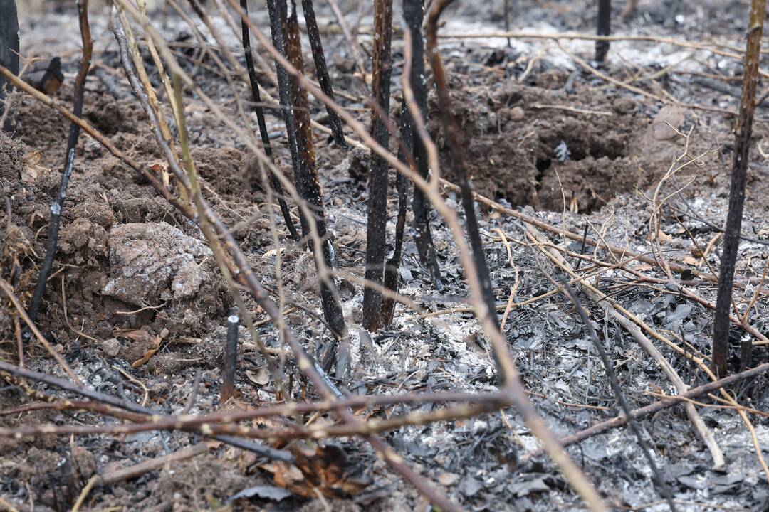 Ant Veršvų piliakalnio kilo gaisras