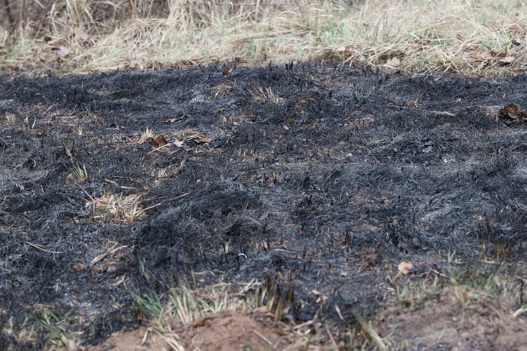 Ant Veršvų piliakalnio kilo gaisras