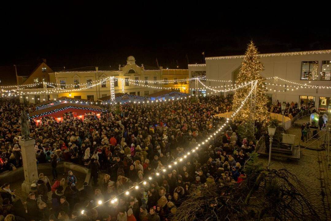 Vilniaus miesto eglė