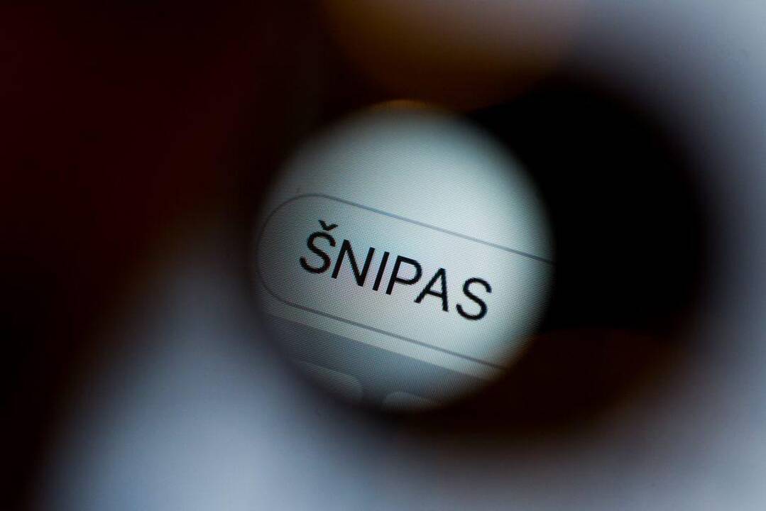 Teismas skelbs spendimą dėl nuosprendžio šnipinėjimo byloje