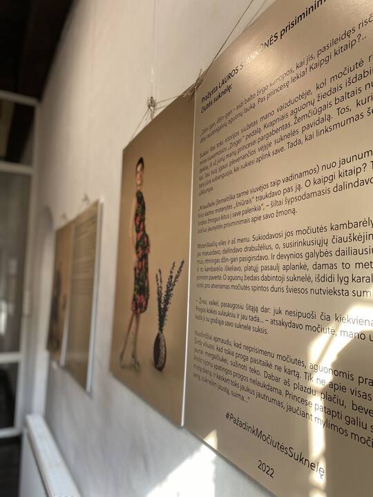 Darbas: atidarydama parodą Perkūno name D.Vainorė prisipažino, kad nebuvo lengva iš daugybės kandidačių išrinkti aštuonias.