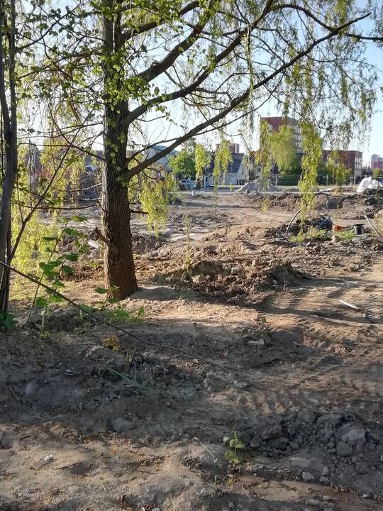 Nusausino: prieš suformuodami naują Sakurų parko tvenkinio siluetą, rangovai iš senojo vandens telkinio turėjo visiškai išsiurbti vandenį.