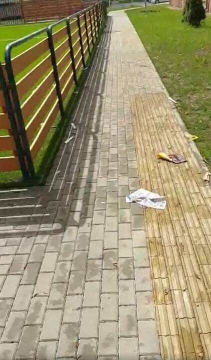 Baisu: šiukšlintojai toliau teršia miesto aplinką.