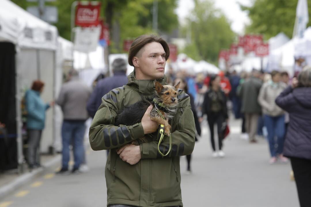 Palanga švenčia vasaros pradžią