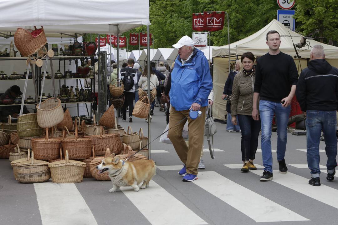 Palanga švenčia vasaros pradžią
