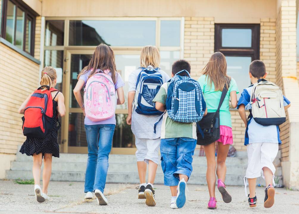 Svarbu: kiekvieno mokytojo užduotis dirbti taip, kad būtų įdomu ir visai klasei, ir kiekvienam mokiniui atskirai.