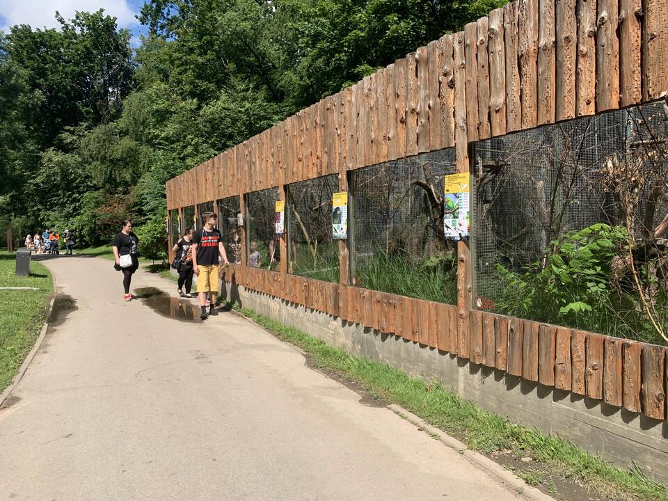 Lietuvos zoologijos sodas atšventė 82-ąjį gimtadienį