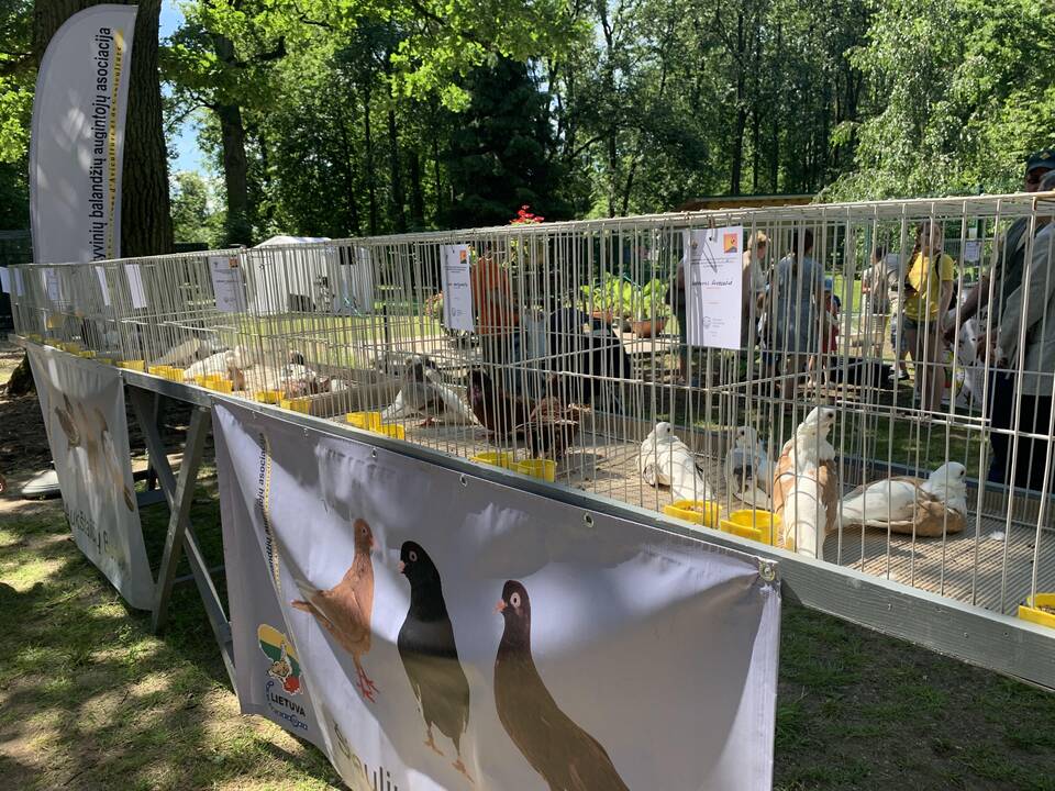 Lietuvos zoologijos sodas atšventė 82-ąjį gimtadienį