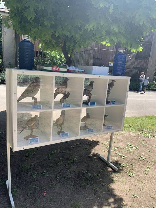 Lietuvos zoologijos sodas atšventė 82-ąjį gimtadienį