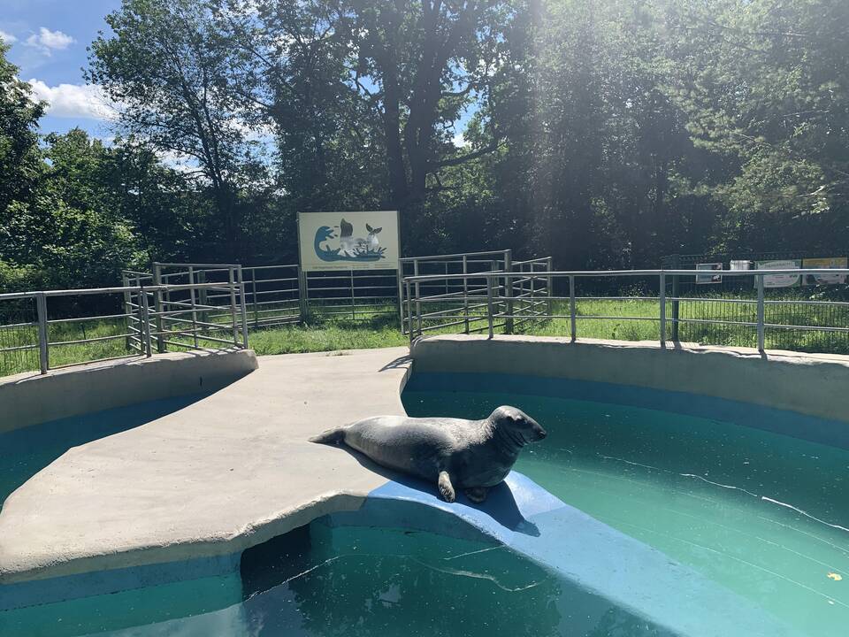 Lietuvos zoologijos sodas atšventė 82-ąjį gimtadienį