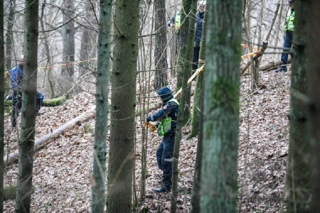 Vilniaus pakraštyje rasti žmogaus kaulų fragmentai