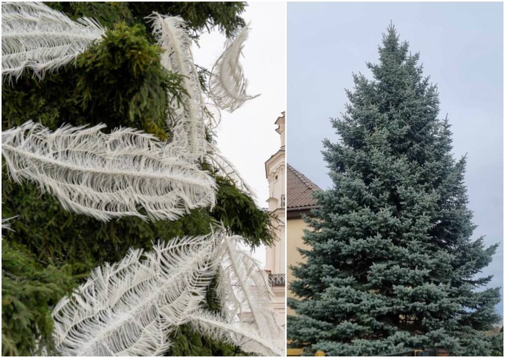 Didžiųjų Lietuvos miestų aikštėse – Kalėdų eglės nuo tūkstančio iki 160 tūkst. eurų