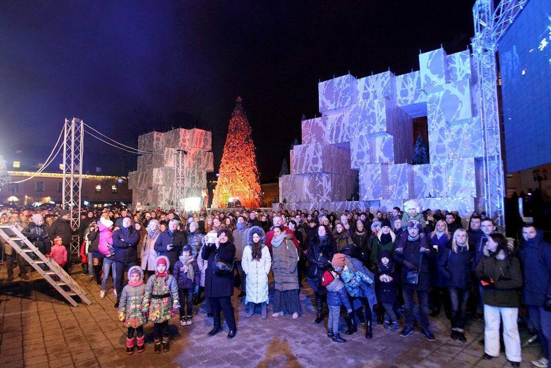 Vilniaus miesto eglė