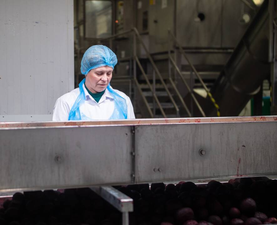 Ukrainietėms Olenai su drauge Antonina tragiškų išgyvenimų ir nerimo bei nežinios kupiną laiką padeda išgyventi draugiškumas, ramybė ir darbas. 