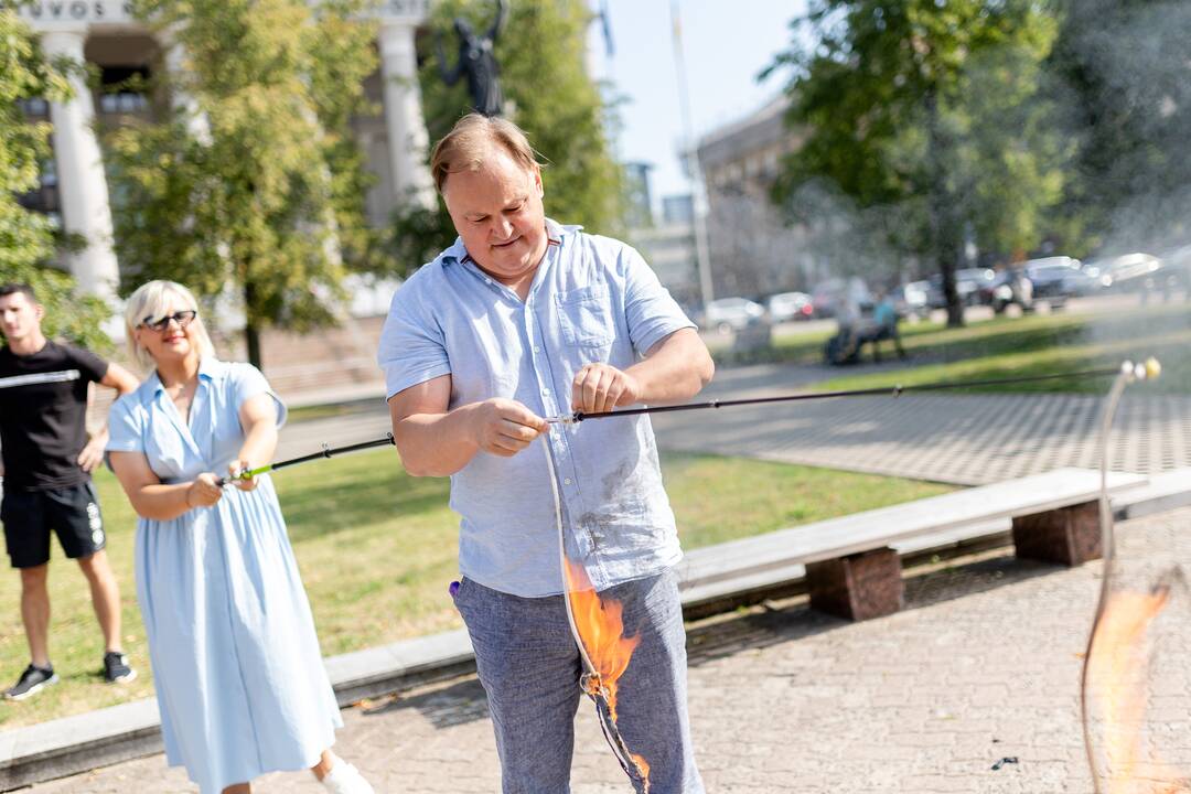 Prie Seimo sudeginta LGBT bendruomenės vėliava
