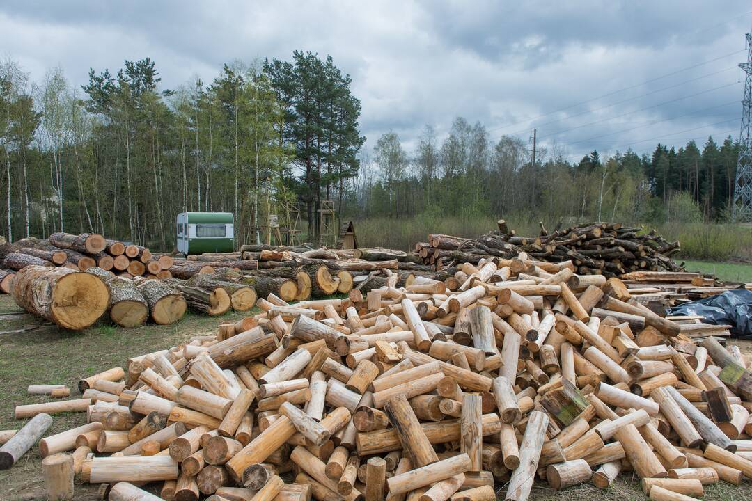 Nuomonė: mokyklą vaikams statantis O.Kovrikovas įsitikinęs, kad mokykla turi būti gamtoje. Juk iš gamtos galima išmokti visko, ką žmogui reikia žinoti.