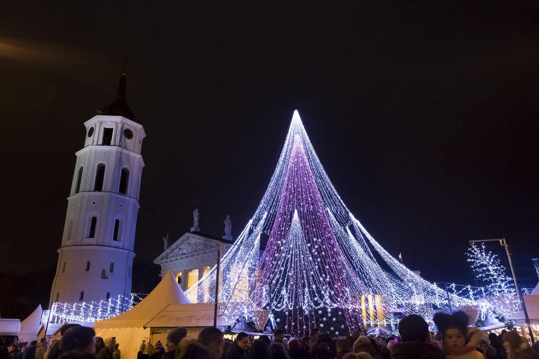 Vilniaus miesto eglė