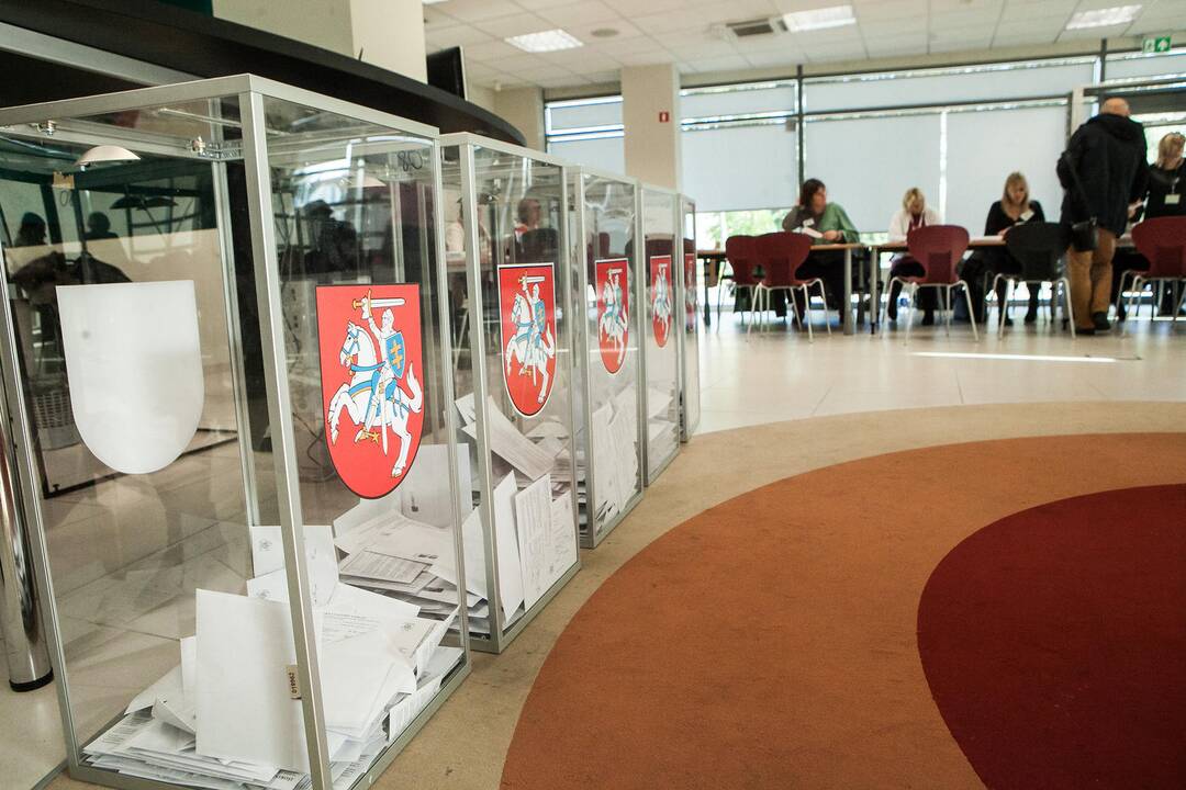 Tyrimas: mažai tikėtina, kad referendumu dėl pilietybės būtų pakeista Konstitucija