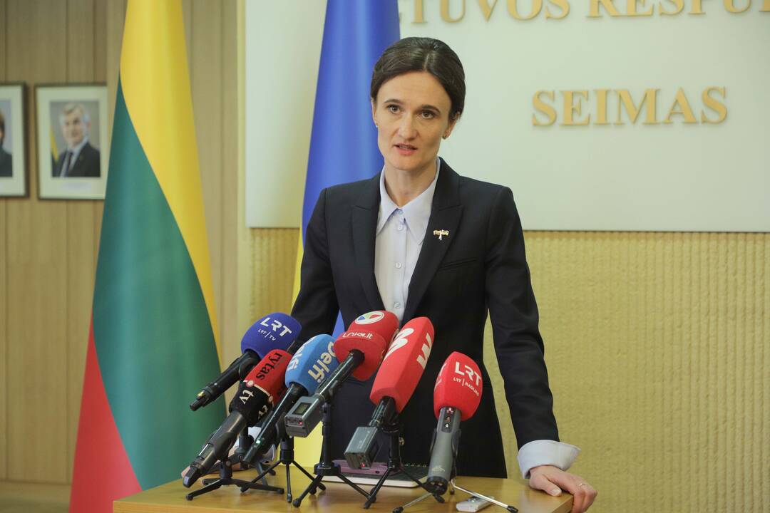 V. Čmilytė-Nielsen: žala Seimo įvaizdžiui padaryta